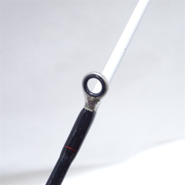 ２４アナリスターネライＭＨ－２１０